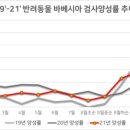 세이프케어 이미지