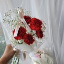 수목화 이미지