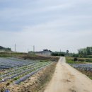 사곡3리 이미지