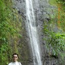 하와이 네번째 여행2- 마노아폭포, 와이마날로비치 이미지