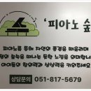 피아노배울까음악학원