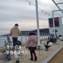 감포인 | 경주 아이랑 대형카페 | 경주 감포 투썸플레이스 수족관 후기