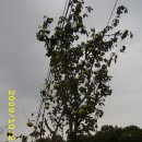 천전동2 이미지