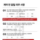 소미실비