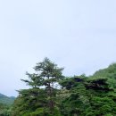 다덕고기집