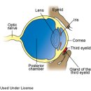 24시폴동물병원 이미지