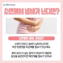 세린약국 이미지