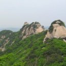 불광2-009 Daum카페