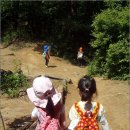 수원-1241 이미지