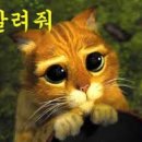 라인영어