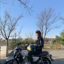 죽백6로 이미지
