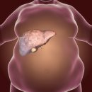 뉴바디짐휘트니스 이미지