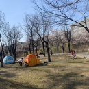 SUJI LAB 네이버블로그