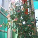 임동초교 이미지