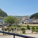 왕소나무막국수