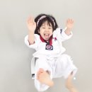 눈부시게 빛나는 태권도장 이미지