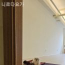 니로다요가 - 화성시 동탄중심상가1길 36 | 니로다요가