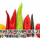인지력감퇴막으려면…딸기,고추자주먹어야하는이유 이미지