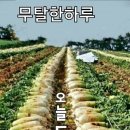 무사이