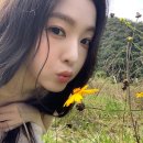 아이린