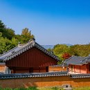 수원-0373 Daum카페