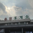 용인휴게소 강릉방향 애견놀이터 강아지운동장 반려견 동반여행 후기