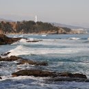 바다수산회직판장 이미지