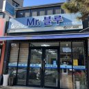 블루커트 이미지