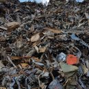 태광고철 이미지