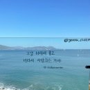 CLIFF39(클리프39)