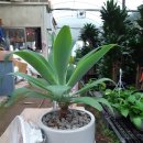 애란농장 이미지