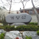 미주탕 이미지
