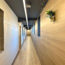 펫츠온더포인트 | 양양더앤리조트 패밀리 스위트 후기, 더앤리조트양양 가족숙소 추천