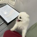 이마트24 강릉포남센터점 이미지