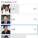 보수의 차기 대통령 지지도 조사 이미지