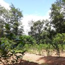 미소농장 이미지