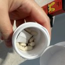 홍 | 홍현희 식초 홍식정 EASY 후기, 식전 식초 간편하게!