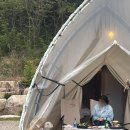 스페이스 영덕 | 영덕 애견동반 숙소 오션뷰 스페이스영덕 글램핑 후기