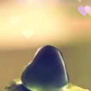 반다리