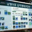 용천탕 | [제주도 마을 답사] 제주시 조천읍 신촌리