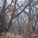 내곡동543 이미지