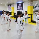 용인대 안산 타이거즈 태권도장 이미지