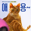 (스포X) 메가히트 네이버웹툰 원작 좀비딸 영화 정보 후기 쿠키