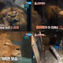 한사자농장 이미지