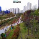 방축천1 해지개2교 | 세종시아파트급매 도담동 모아엘가에코힐