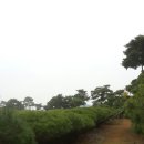 반송 Daum카페
