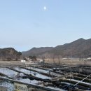 홈플러스 문경점 | 문경 stx리조트 근처 맛집: 민지 송어장 포장 후기