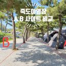 양양죽도오토캠핑장 | 강원도 양양 죽도야영장 캠핑장 A8 사이트 오션뷰 후기 및 A, B 사이트 분석(실제 사이트에서 보는 바다...