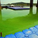 금강페인트 이미지