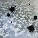 10평열